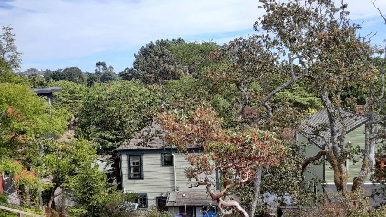Sea Birds Cottage Виктория Экстерьер фото